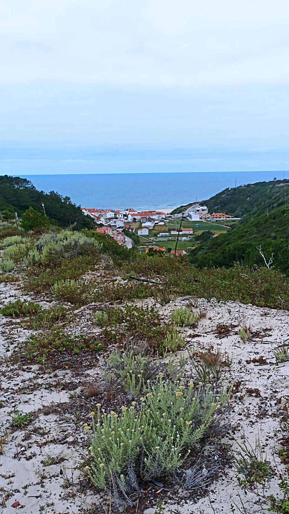 Tinyhouse Tilda - Near Famous Beaches Pataias Bagian luar foto