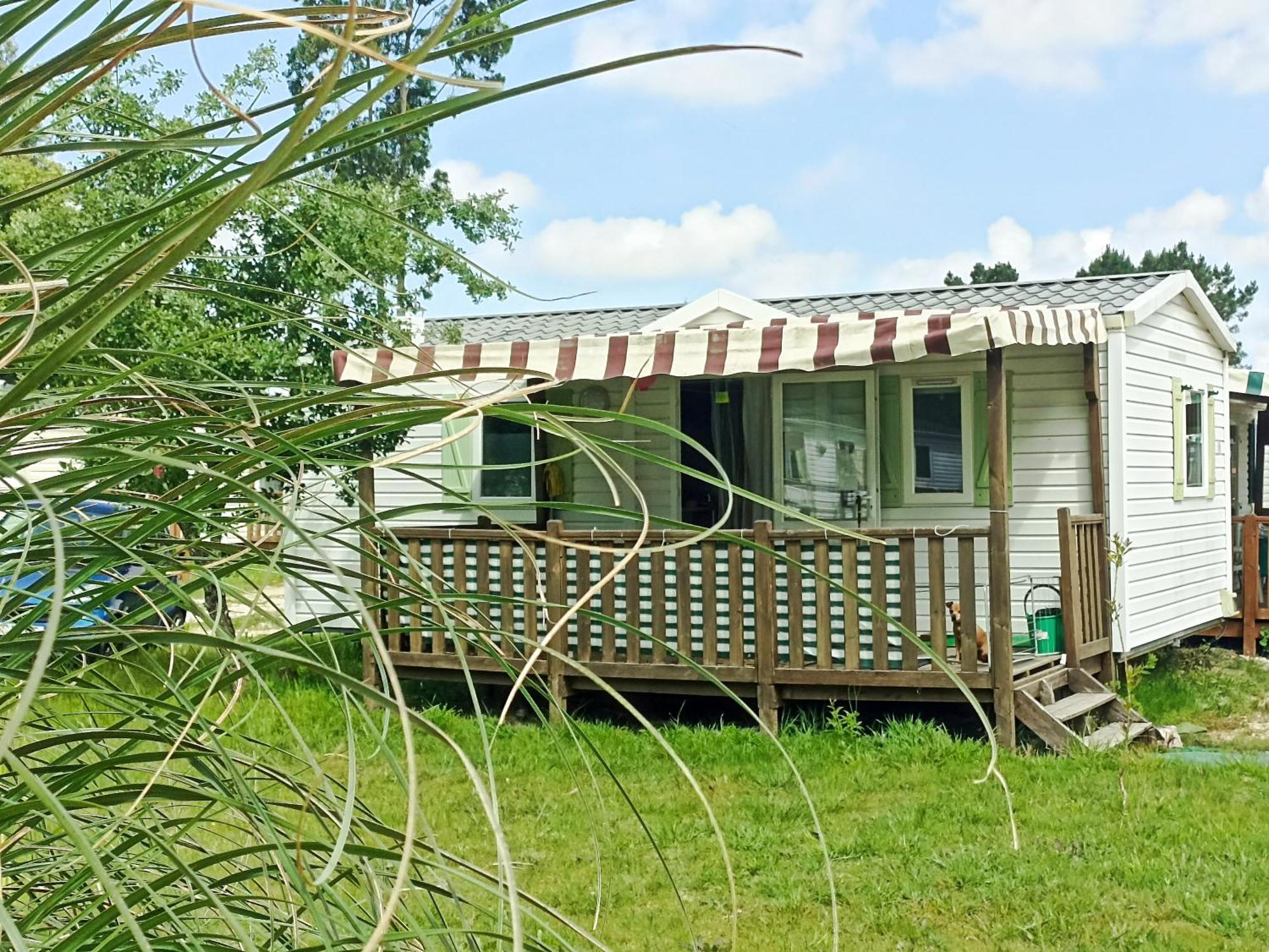 Tinyhouse Tilda - Near Famous Beaches Pataias Bagian luar foto