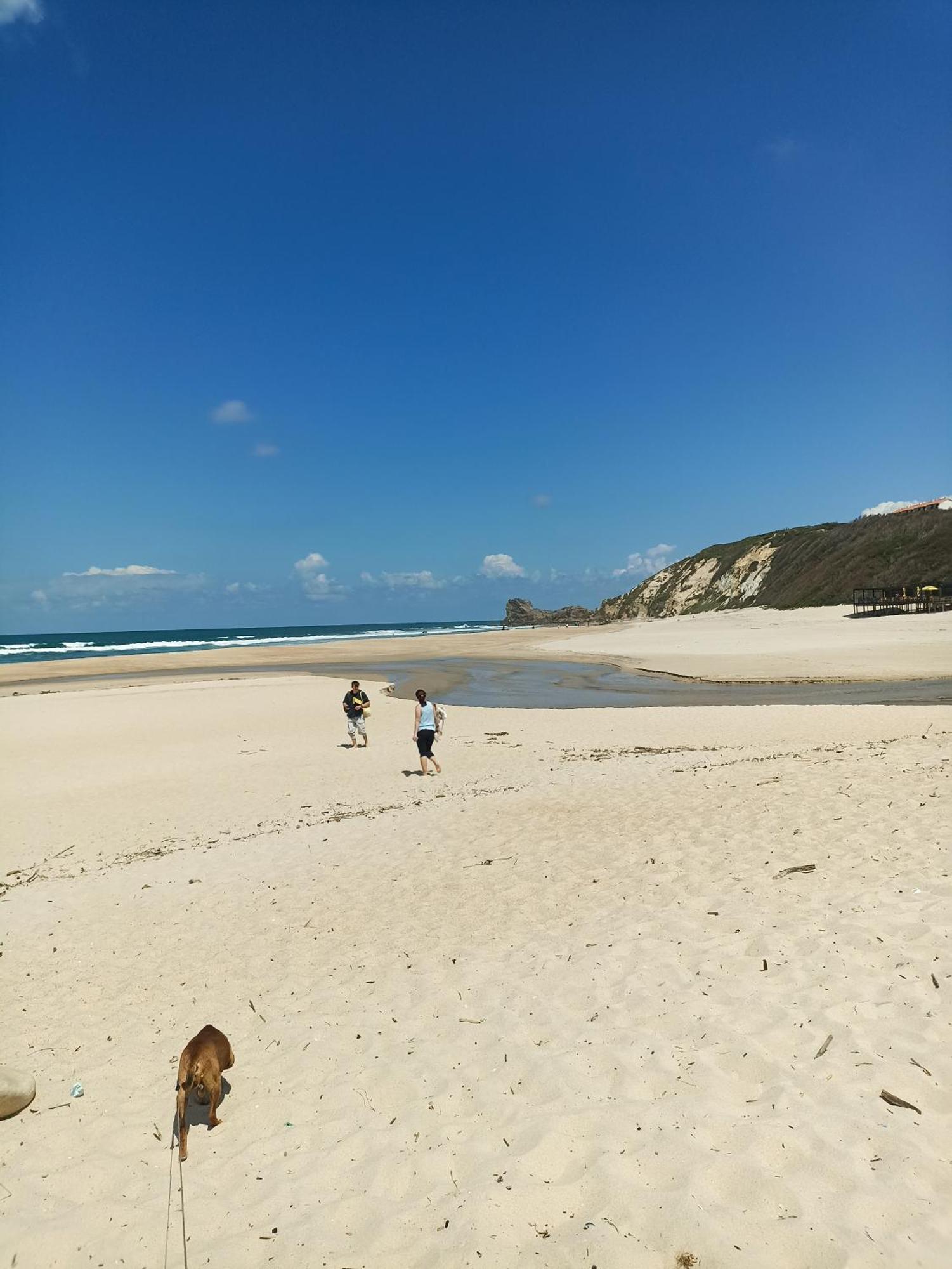 Tinyhouse Tilda - Near Famous Beaches Pataias Bagian luar foto
